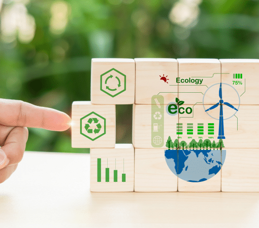 Economia Circular – Transformando o futuro por meio da Sustentabilidade